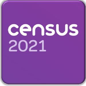 FI Census 2021 for GM Poverty Action
